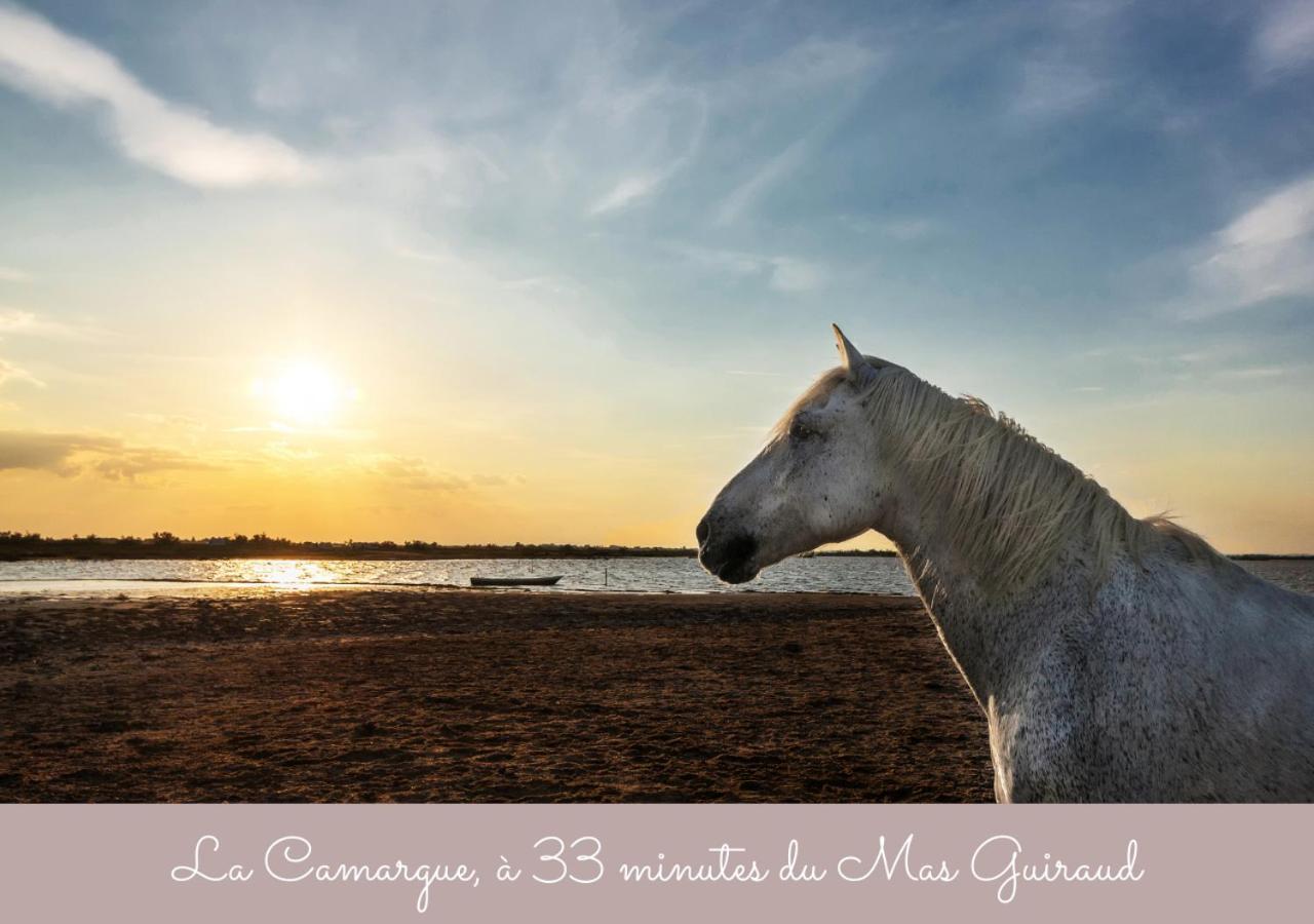 Mas Guiraud, Le Gaspardoux Villa Beaucaire  Esterno foto